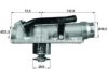 VW 07D121111P Thermostat, coolant